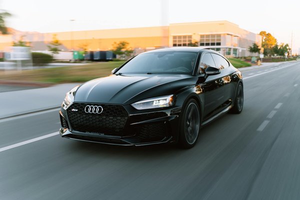 Die Zukunft der Haustierpflege und ihre langfristigen Auswirkungen