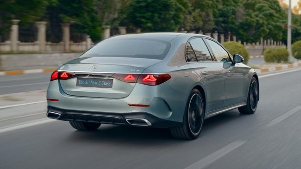 Wie beuge ich der Bildung von Haarballen bei meiner Langhaarkatze vor?